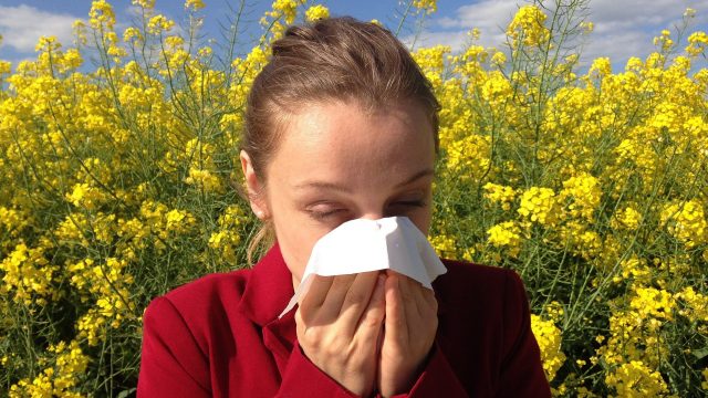 Comment Soulager l’Allergie au Pollen avec un Traitement Homéopathique ?