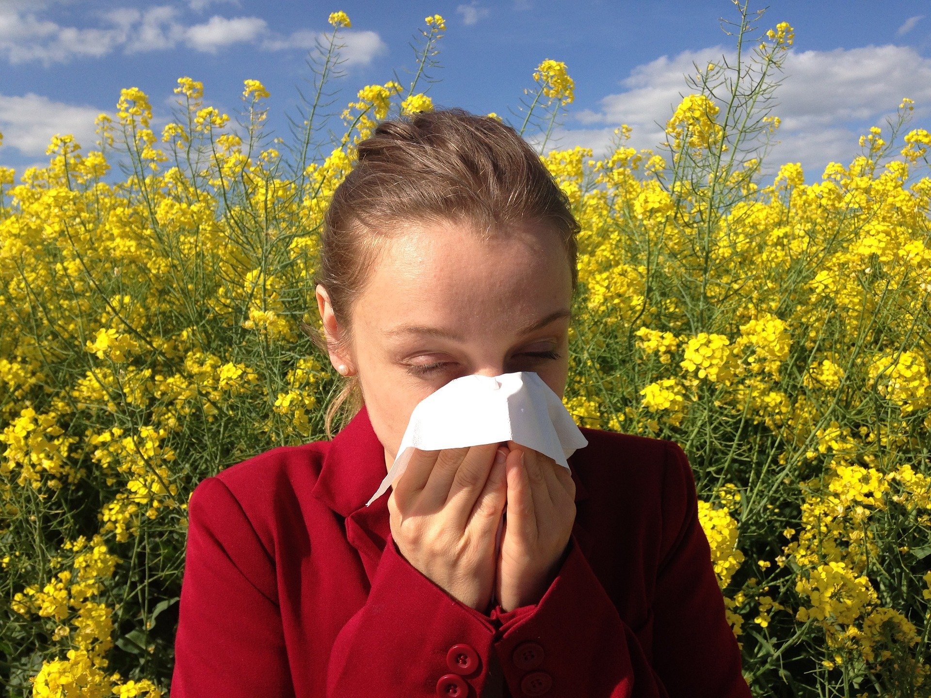 Allergie au Pollen : comment la soigner avec un Traitement Homéopathique